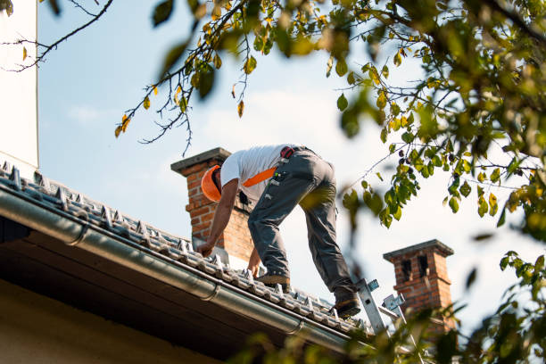 Best Roof Ventilation Installation  in Sheridan, CA